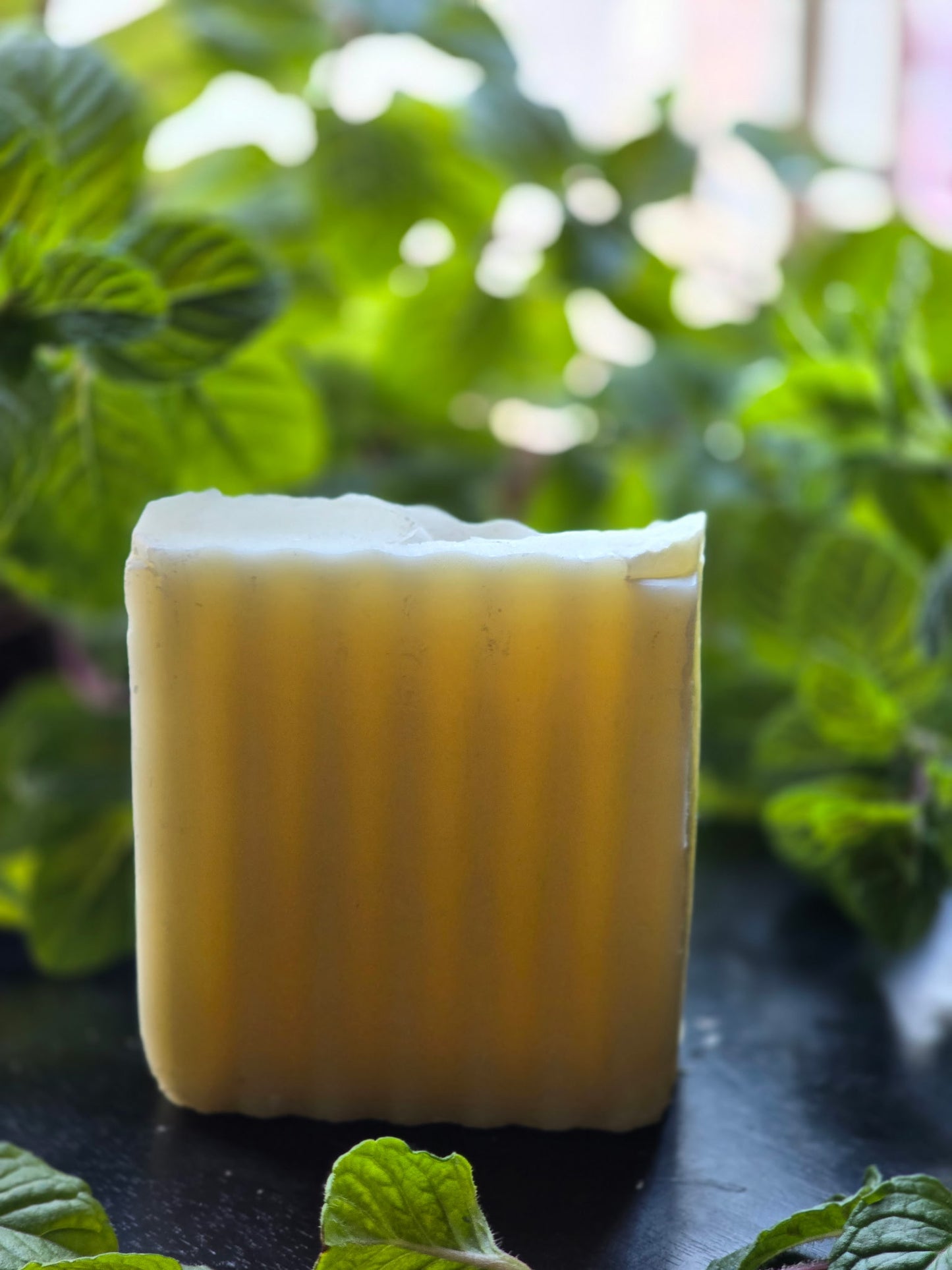 Herbal Clean Dog Shampoo Bar