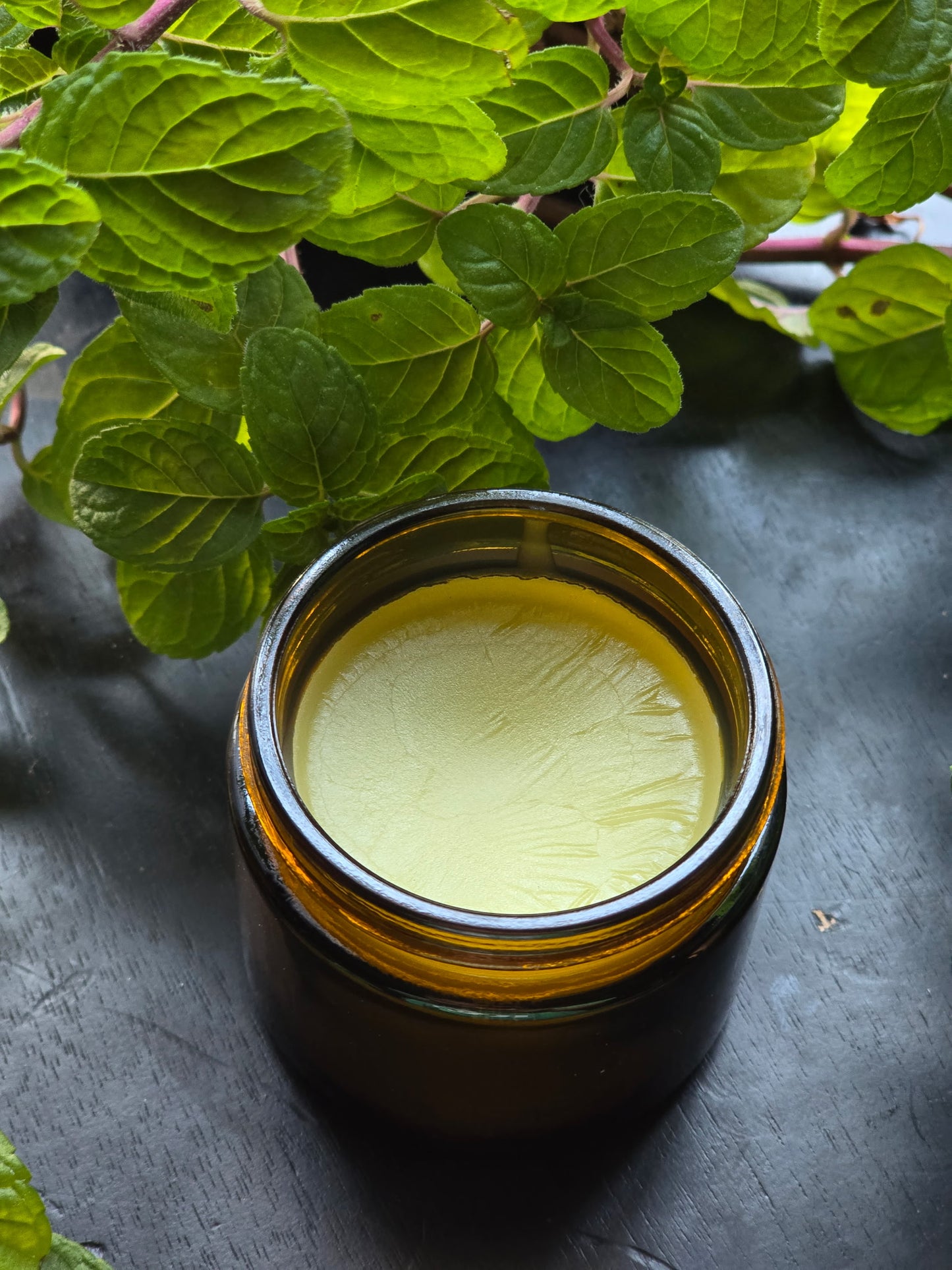 Botanical Healing Salve (2oz Jar/1oz Tin)