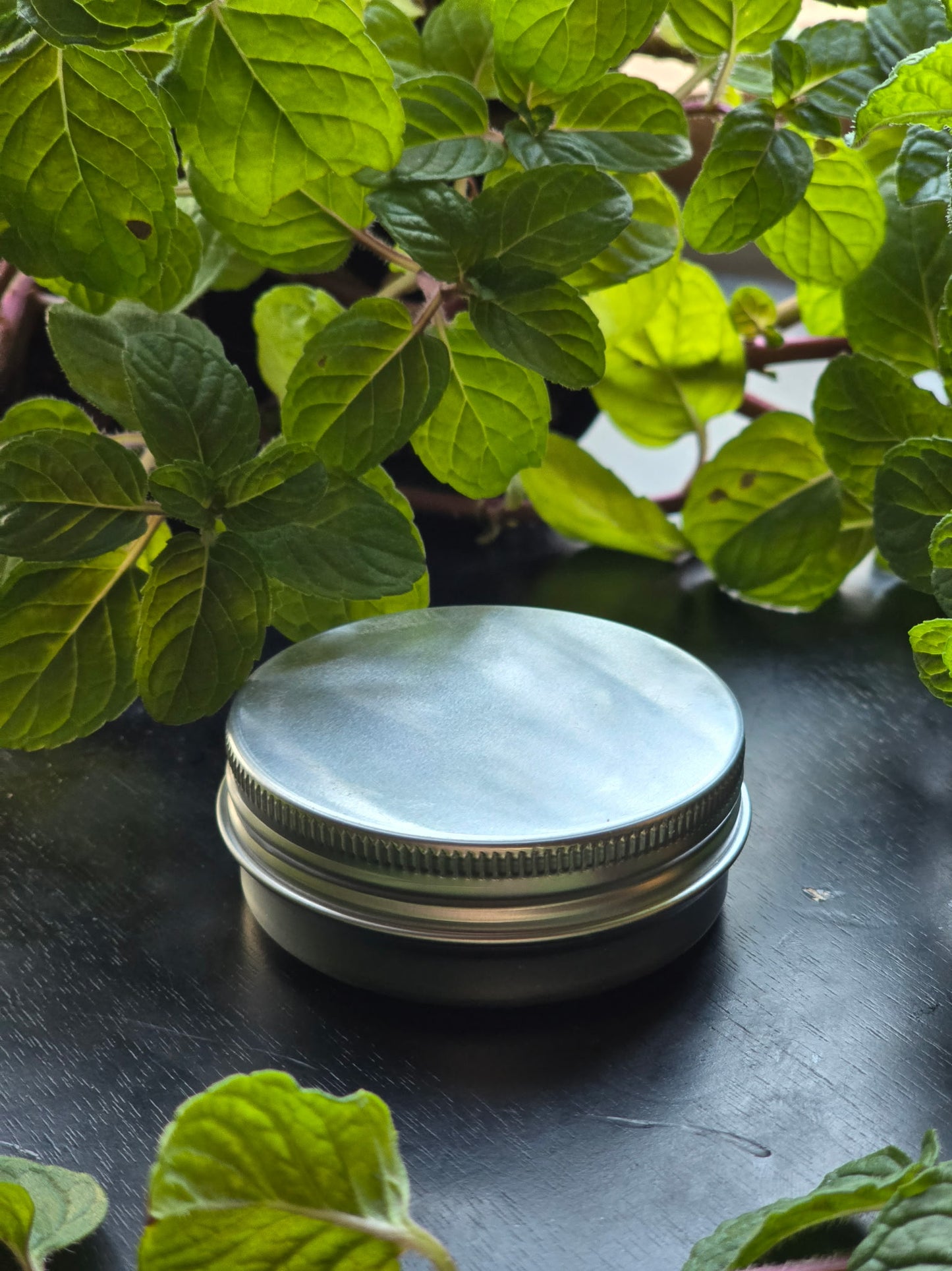 Herbal Relief Pain Salve (1oz Tin)