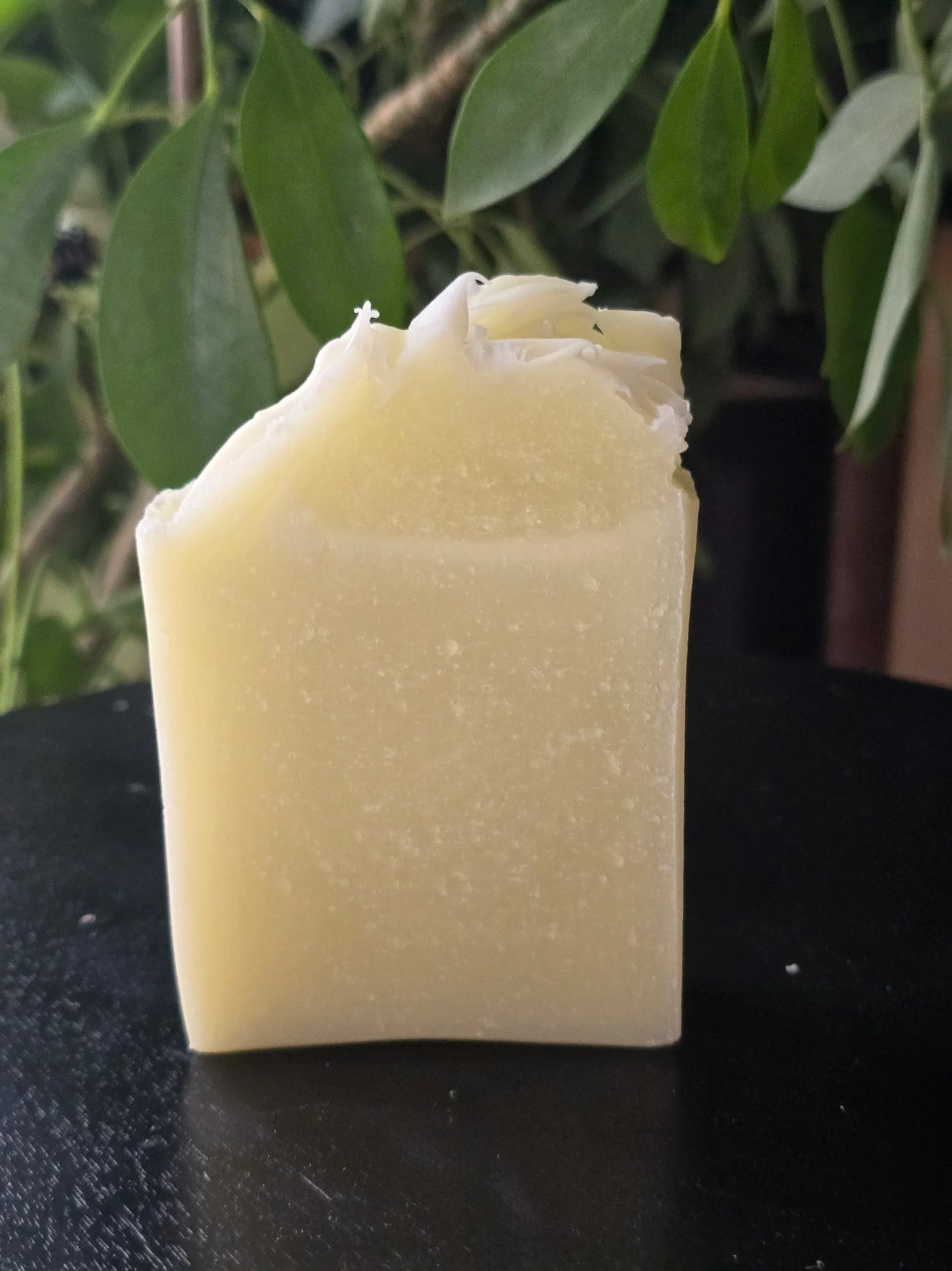 Tallow Soap - Just Soap (Unscented)