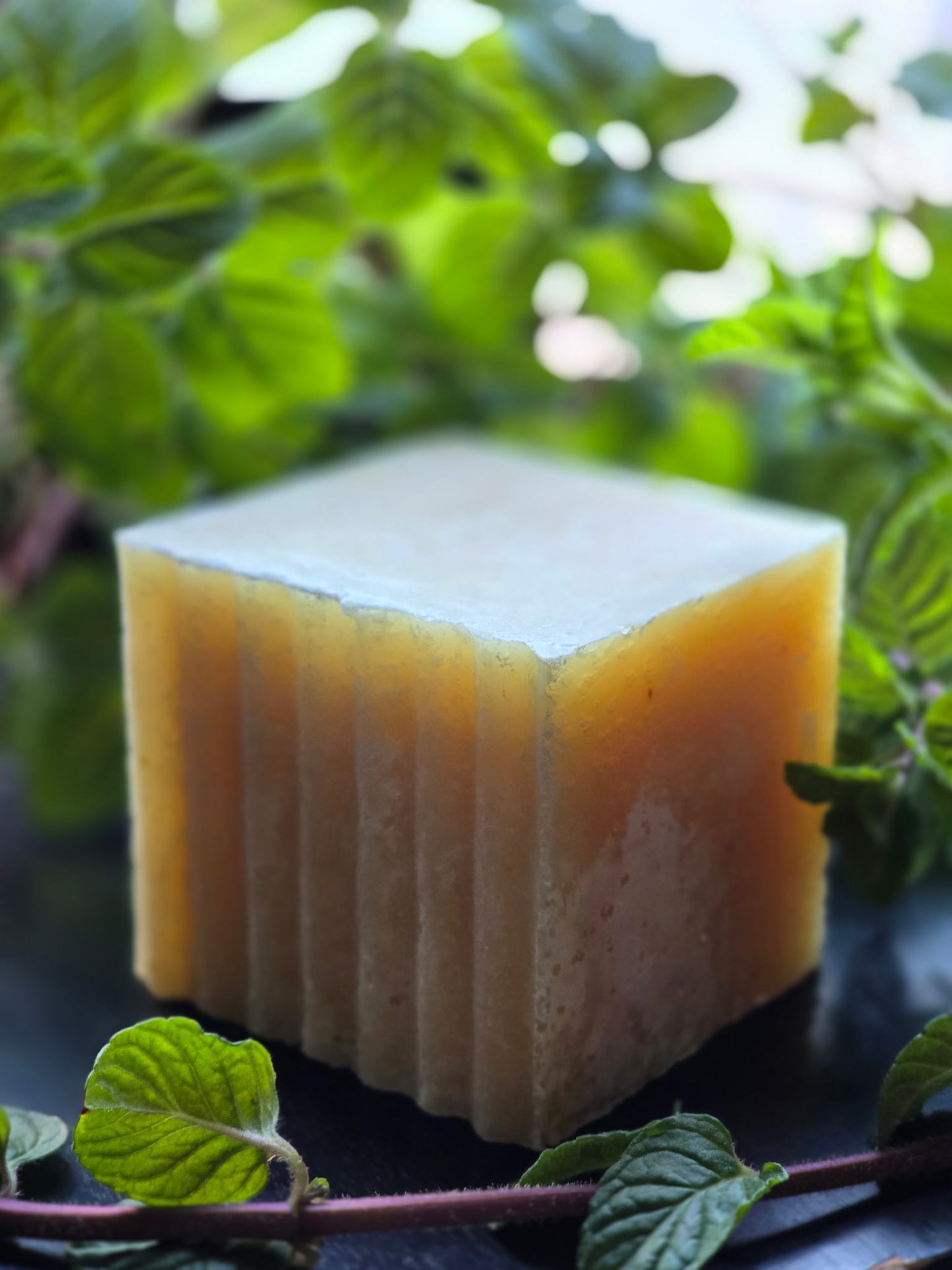 Citrus Clean Solid Dish Soap