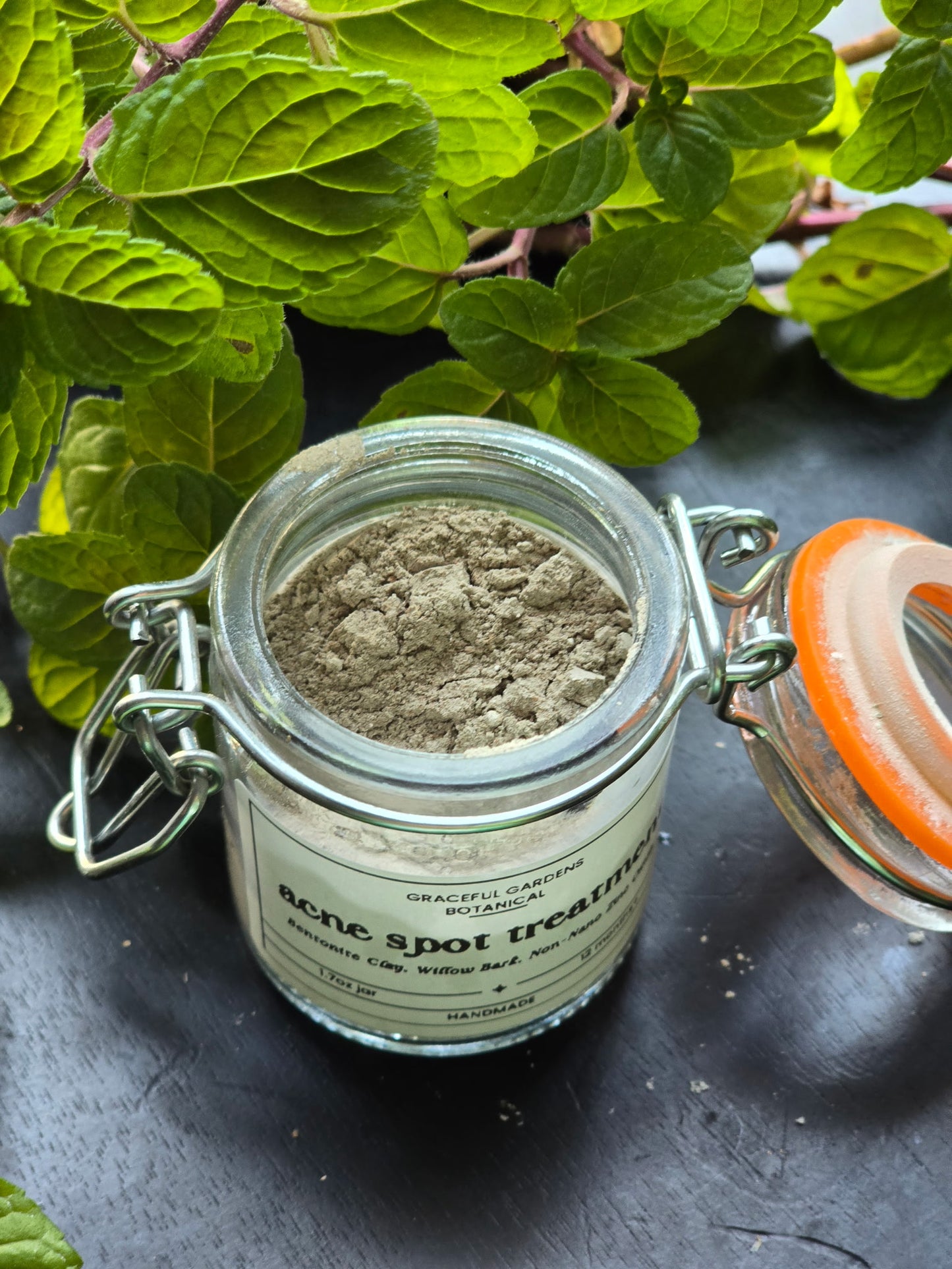 Clarifying Acne Spot Treatment (1.7oz Jar)