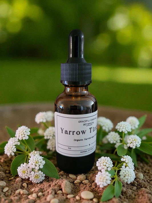 Yarrow Tincture (1oz Dropper Bottle)