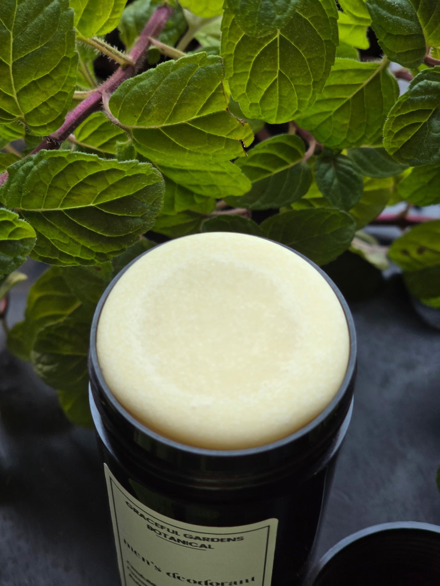 Men's Deodorant (2oz container)