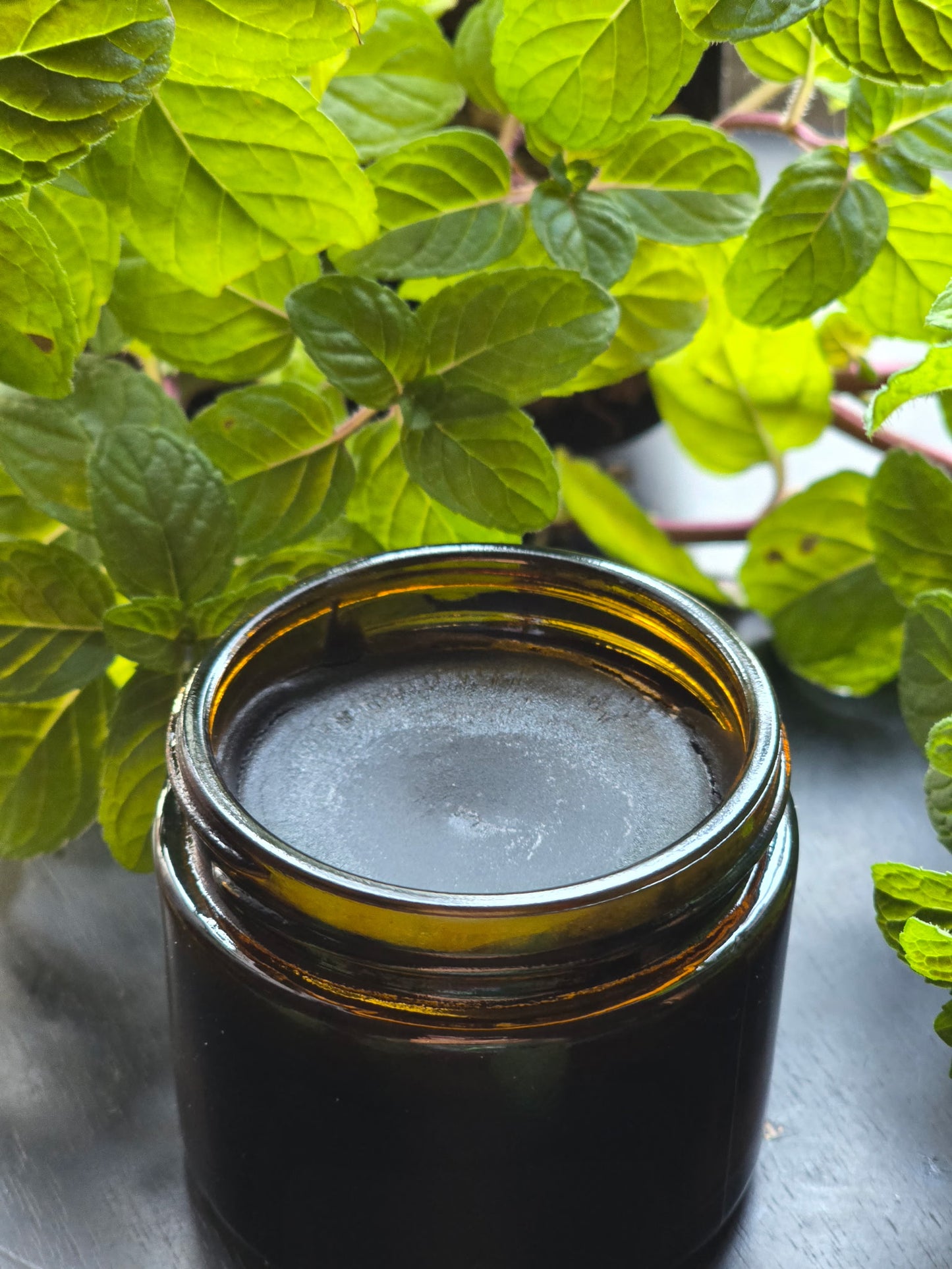 Deep Detox Drawing Salve (2oz Jar)