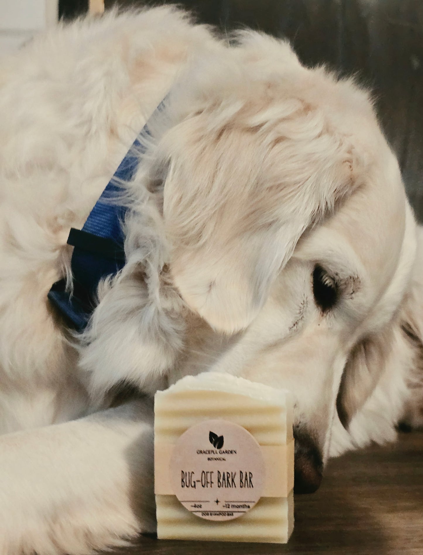 Bug-Off Bark Bar - Dog Shampoo Bar (4oz)