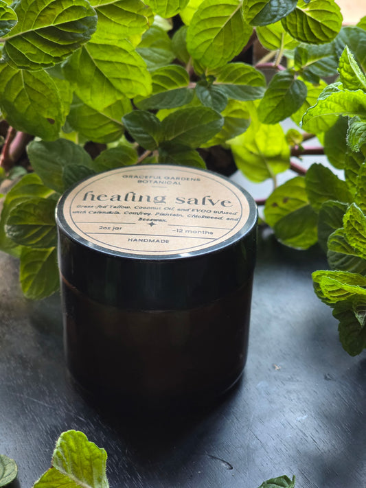 Botanical Healing Salve (2oz Jar/1oz Tin)